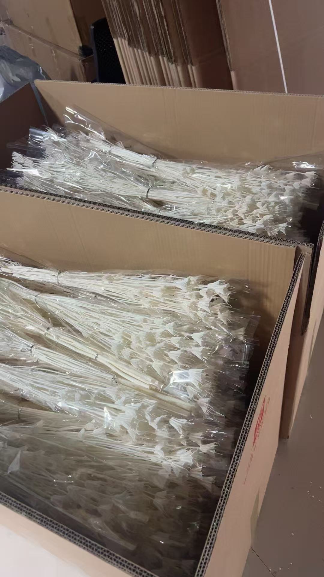 Floral stems arranged inside a packaging carton